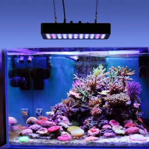 Nano Aquarium Beleuchtung